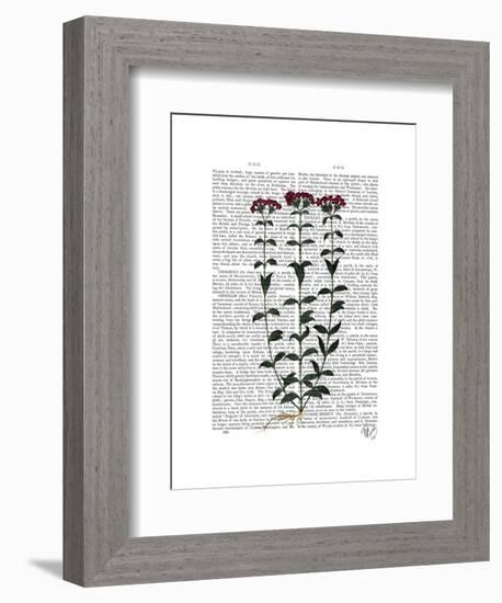 Italian Carnation 6-Fab Funky-Framed Art Print