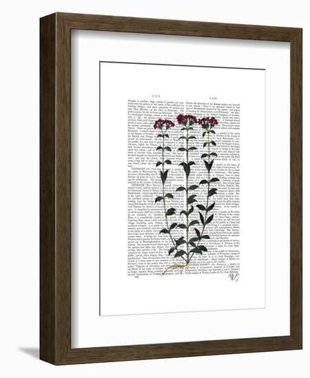 Italian Carnation 6-Fab Funky-Framed Art Print