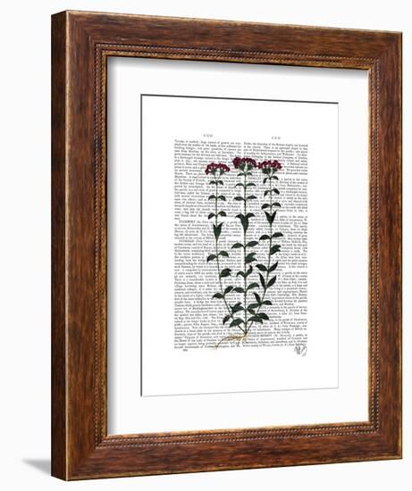 Italian Carnation 6-Fab Funky-Framed Art Print