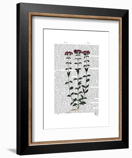 Italian Carnation 6-Fab Funky-Framed Art Print