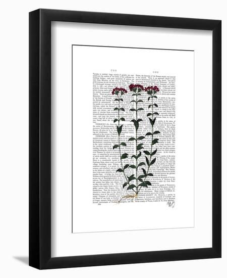 Italian Carnation 6-Fab Funky-Framed Art Print