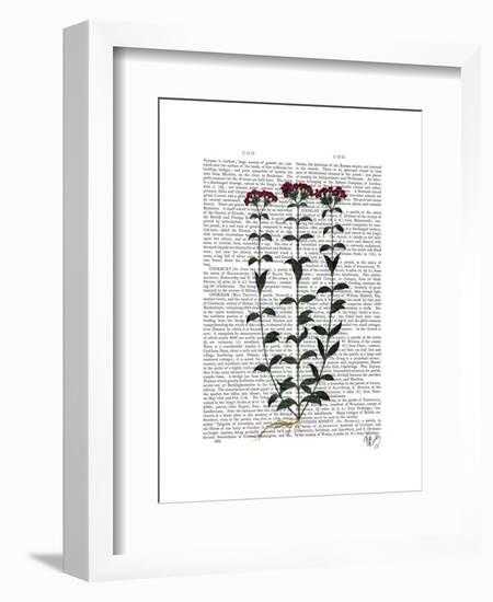 Italian Carnation 6-Fab Funky-Framed Art Print