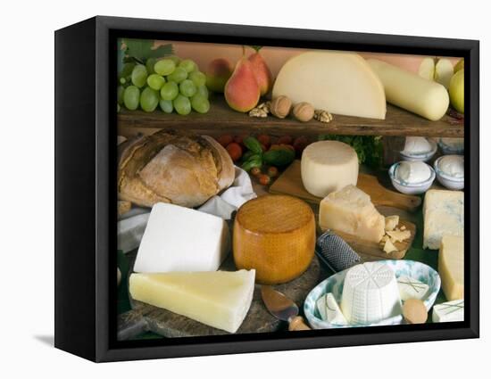 Italian Cheeses, Italy-Nico Tondini-Framed Premier Image Canvas