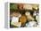 Italian Cheeses, Italy-Nico Tondini-Framed Premier Image Canvas