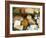 Italian Cheeses, Italy-Nico Tondini-Framed Photographic Print