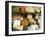 Italian Cheeses, Italy-Nico Tondini-Framed Photographic Print