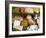 Italian Cheeses, Italy-Nico Tondini-Framed Photographic Print