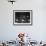 Italian Conductor Claudio Abbado Rehearsing the La Scala Opera Orchestra-Alfred Eisenstaedt-Framed Premium Photographic Print displayed on a wall