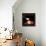 Italian Cuisine I-Marco Fabiano-Framed Stretched Canvas displayed on a wall