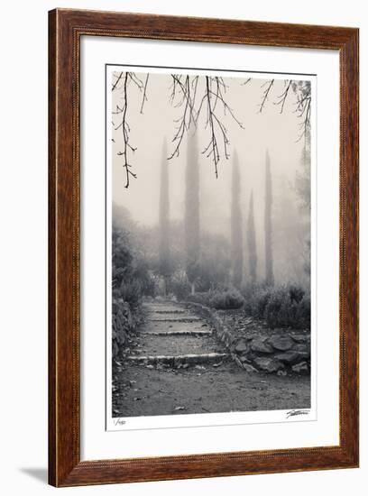 Italian Cypress-Donald Satterlee-Framed Giclee Print