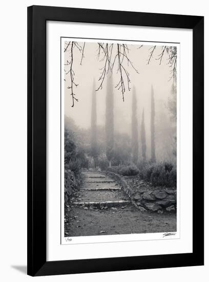 Italian Cypress-Donald Satterlee-Framed Giclee Print