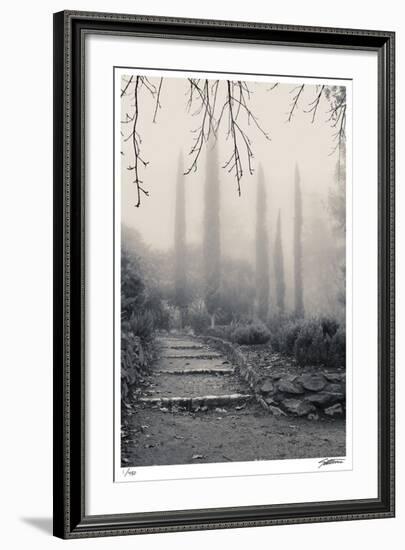 Italian Cypress-Donald Satterlee-Framed Giclee Print