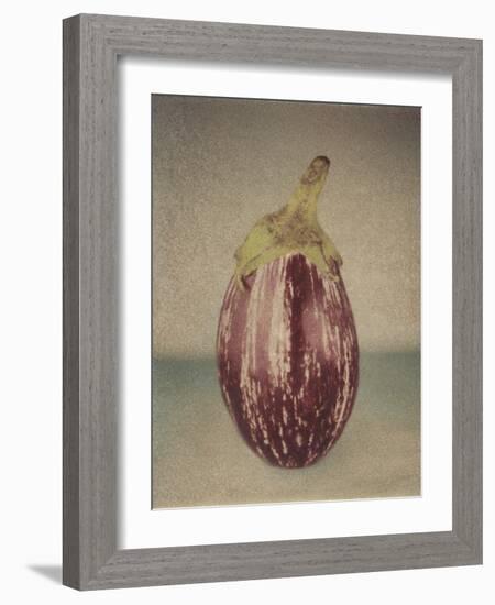 Italian Eggplant-Jennifer Kennard-Framed Photographic Print