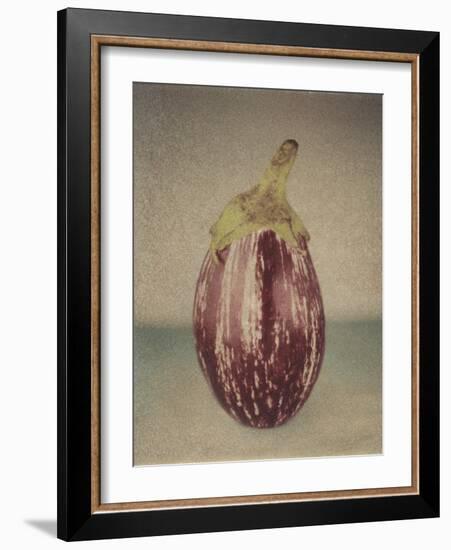 Italian Eggplant-Jennifer Kennard-Framed Photographic Print