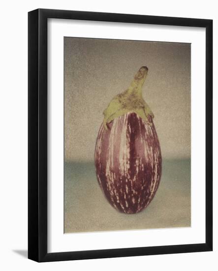 Italian Eggplant-Jennifer Kennard-Framed Photographic Print