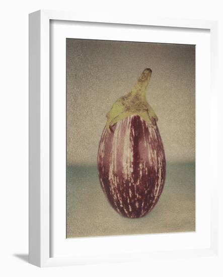 Italian Eggplant-Jennifer Kennard-Framed Photographic Print