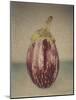 Italian Eggplant-Jennifer Kennard-Mounted Photographic Print