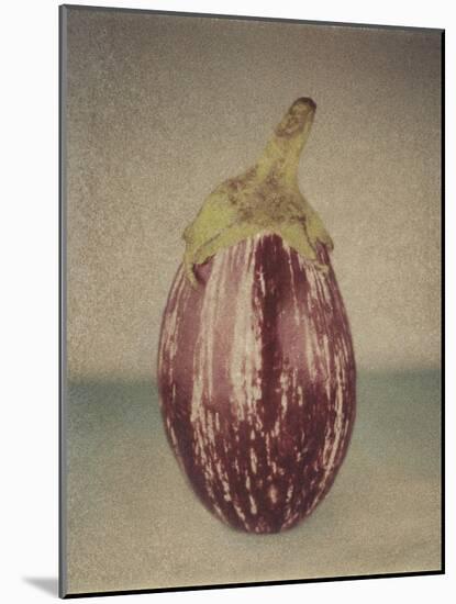 Italian Eggplant-Jennifer Kennard-Mounted Photographic Print