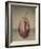 Italian Eggplant-Jennifer Kennard-Framed Photographic Print