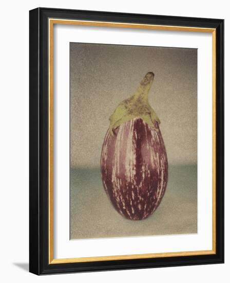 Italian Eggplant-Jennifer Kennard-Framed Photographic Print