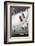 Italian Flag on Fiat 500 Car, Rome, Lazio, Italy, Europe-Stuart Black-Framed Photographic Print