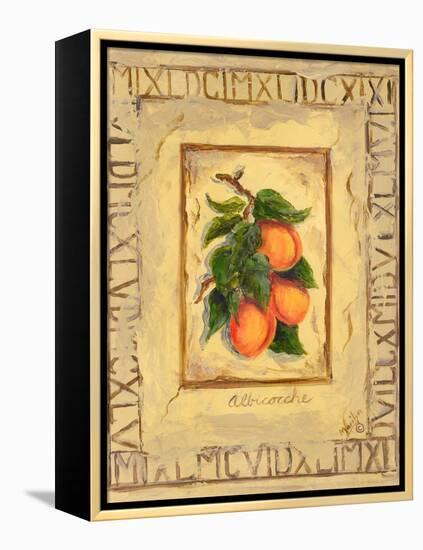 Italian Fruit Apricots-Marilyn Dunlap-Framed Stretched Canvas