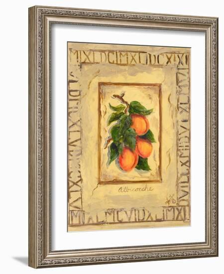 Italian Fruit Apricots-Marilyn Dunlap-Framed Art Print