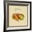 Italian Fruit II-Vision Studio-Framed Art Print