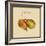 Italian Fruit II-Vision Studio-Framed Art Print