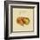 Italian Fruit II-Vision Studio-Framed Art Print