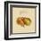 Italian Fruit II-Vision Studio-Framed Art Print