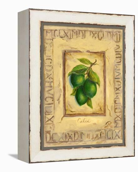 Italian Fruit Limes-Marilyn Dunlap-Framed Stretched Canvas