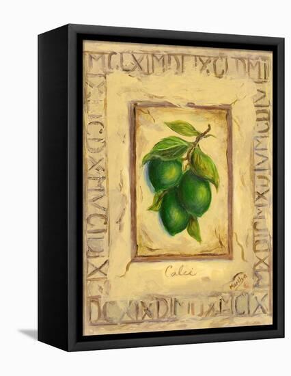 Italian Fruit Limes-Marilyn Dunlap-Framed Stretched Canvas