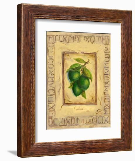 Italian Fruit Limes-Marilyn Dunlap-Framed Art Print