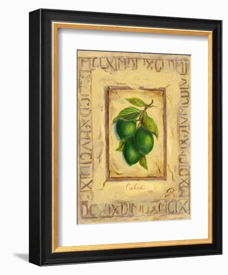 Italian Fruit Limes-Marilyn Dunlap-Framed Art Print