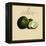 Italian Fruit V-Vision Studio-Framed Stretched Canvas