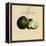 Italian Fruit V-Vision Studio-Framed Stretched Canvas