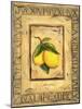 Italian Fruits Lemons-Marilyn Dunlap-Mounted Art Print