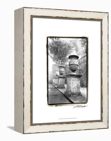 Italian Garden II-Laura Denardo-Framed Stretched Canvas