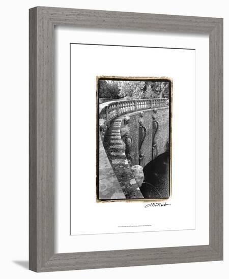 Italian Garden III-Laura Denardo-Framed Art Print