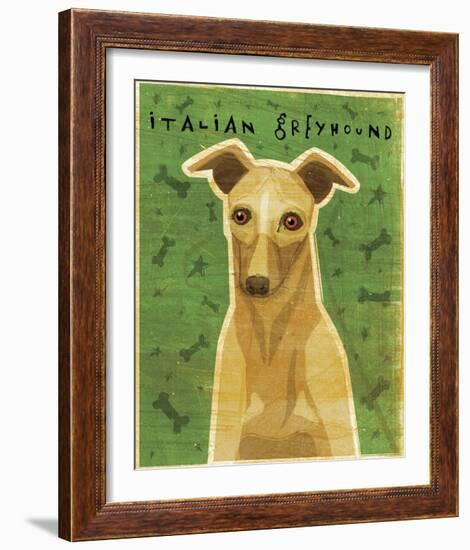 Italian Greyhound (Fawn)-John Golden-Framed Giclee Print