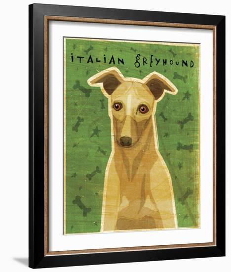 Italian Greyhound (Fawn)-John Golden-Framed Giclee Print