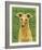 Italian Greyhound (Fawn)-John Golden-Framed Giclee Print