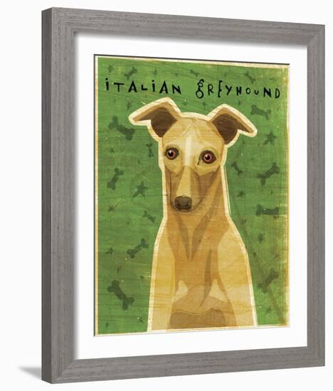 Italian Greyhound (Fawn)-John Golden-Framed Giclee Print