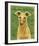 Italian Greyhound (Fawn)-John Golden-Framed Giclee Print