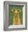 Italian Greyhound (Fawn)-John W^ Golden-Framed Art Print