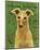 Italian Greyhound (Fawn)-John W^ Golden-Mounted Art Print