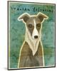 Italian Greyhound (White & Grey)-John Golden-Mounted Giclee Print