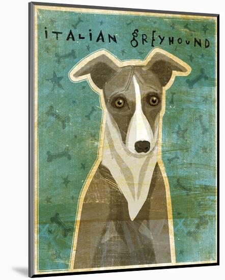 Italian Greyhound (White & Grey)-John Golden-Mounted Giclee Print