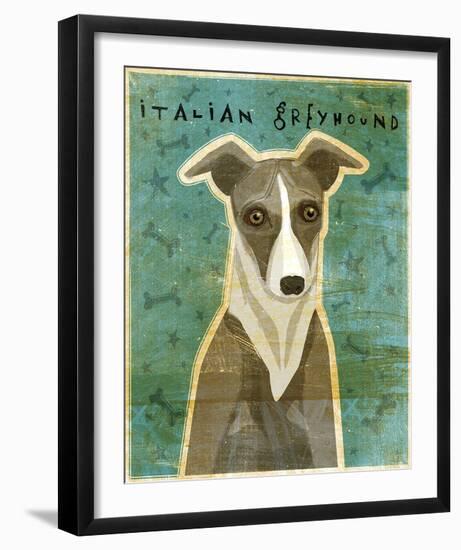 Italian Greyhound (White & Grey)-John Golden-Framed Giclee Print